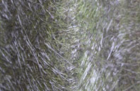 Newcastle Upon Tyne fibreglass roof work